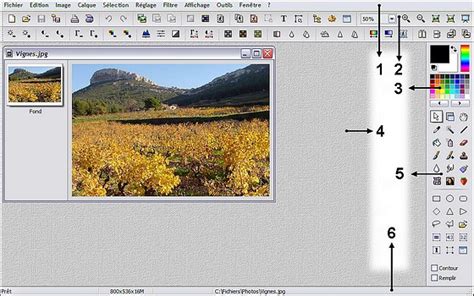 Exemple d'utilisation de l'outil Gomme dans PhotoFiltre 7 pour effacer des zones sur un calque