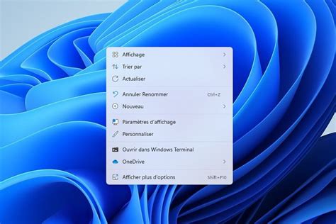 Capture d'écran montrant l'option 