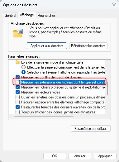 Paramètres d'affichage des fichiers dans les options de dossier