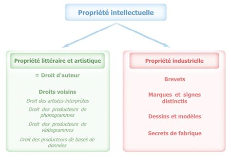 Schéma expliquant les deux branches de la propriété intellectuelle en France : industrielle et littéraire/artistique, avec le droit d'auteur rattaché à cette dernière.