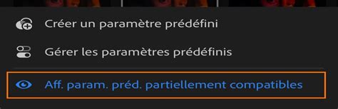 Capture d'écran du panneau Effets et paramètres prédéfinis