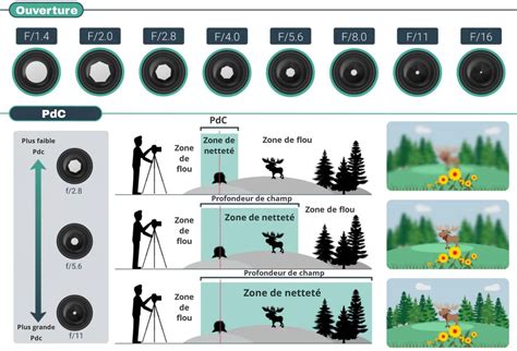 Graphique comparant la profondeur de champ avec différentes valeurs d'ouverture (f-stop).
