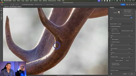 Exemple de l'outil Pinceau utilisé sur un masque de fusion pour affiner les contours des cheveux.