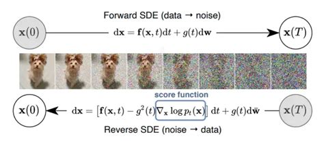 Illustration du processus de débruitage dans les modèles de diffusion.