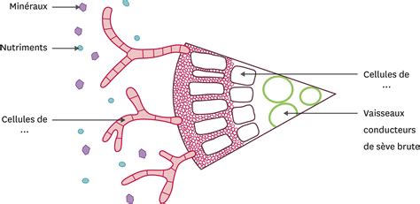 Schéma de l'interaction entre le joueur, les feuilles et le manager de score dans Unity