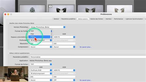 Capture d'écran des préférences de Lightroom Classic, mettant en évidence l'option 