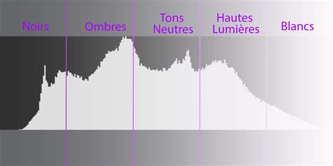Schéma explicatif de l'histogramme d'une image, montrant la répartition des pixels par tonalité, des ombres aux hautes lumières.