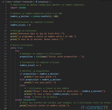 Exemple de code Python illustrant le typage dynamique