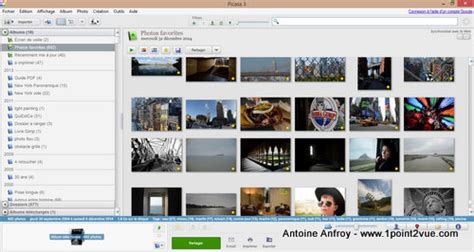 Interface de Picasa avec une vue de la bibliothèque de photos organisée