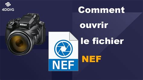 Illustration montrant un fichier NEF et son intégration dans ACDSee