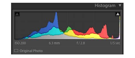 Histogramme dans Lightroom, montrant la répartition des tons d'une image