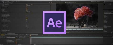 Interface d'After Effects montrant l'outil Roto-Pinceau en action, avec la sélection positive en vert.