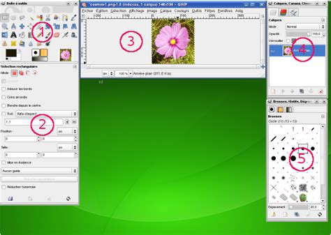 Capture d'écran de l'interface de GIMP montrant la boîte à outils et le panneau des calques.