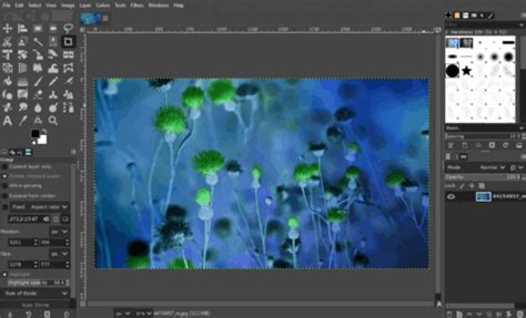 Exemple d'une image solarisée dans GIMP, montrant une inversion des tons et des couleurs.