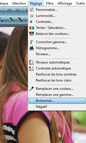 Exemple d'application de l'outil bichromie dans PhotoFiltre