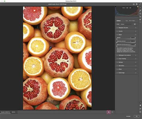 Exemple d'application de différents filtres sur une photo pour en modifier la netteté et ajouter des effets