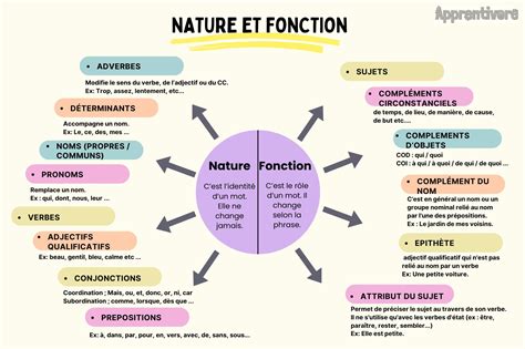 Infographie montrant les différentes zones créées par la fonction Découpe corps : objet extérieur, objet intérieur et découpe extérieure.