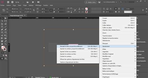 Capture d'écran montrant comment utiliser l'outil 