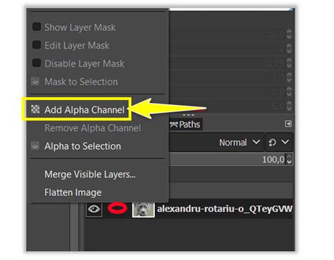 Schéma montrant où vérifier la présence du canal alpha dans GIMP