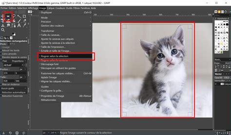 Exemple de sélection d'une zone d'image avec l'outil de sélection dans GIMP avant recadrage.
