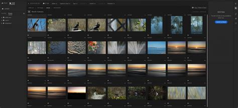 Interface utilisateur de Adobe Lightroom avec des options de développement d'images