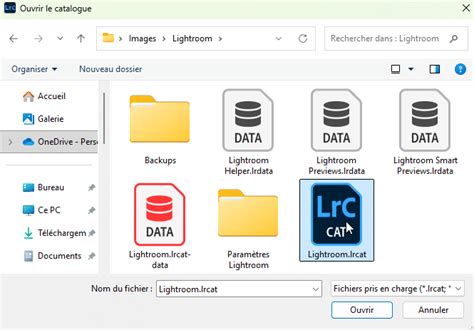 Infographie comparant le fonctionnement de Lightroom Classic avec un catalogue et celui d'un explorateur de fichiers traditionnel.