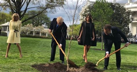 Photographie des couples Trump et Macron plantant un arbre à la Maison Blanche