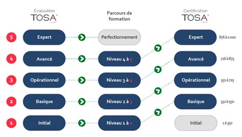 Schéma des niveaux de certification Tosa InDesign