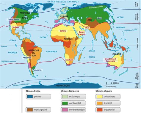 Carte du monde indiquant les zones de plantation d'arbres par Canva.