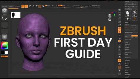 Interface de ZBrush affichant le sélecteur de brushes 