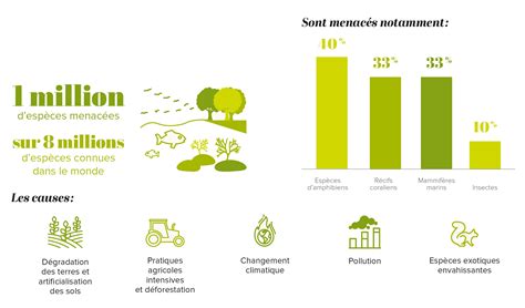 Schéma illustrant l'impact de l'augmentation des samples d'ombre sur la réduction du grain dans Arnold.