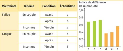 Infographie comparant une image avant et après l'application de la fonction de correction automatique dans IrfanView.