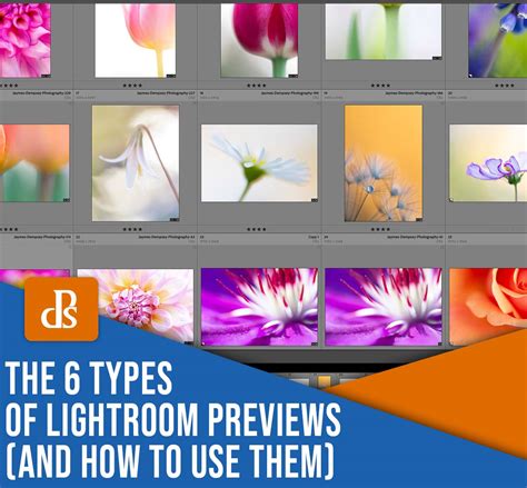 Schéma expliquant les différents types d'aperçus générés par Lightroom et leur impact sur la taille du catalogue.