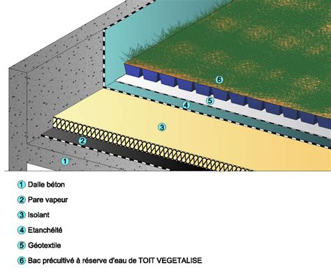 Colline végétalisée avec de l'herbe d'architecture