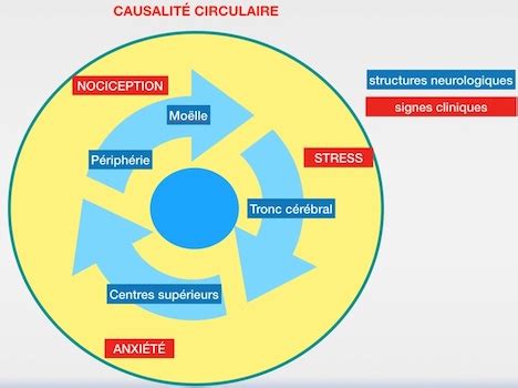 Schéma illustrant la causalité circulaire