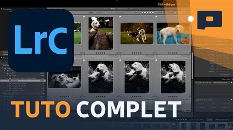 Schéma illustrant la structure d'un preset Lightroom avec différents modules de réglage