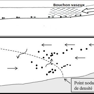 Exemple de correction d'une zone résiduelle avec l'outil Densité +