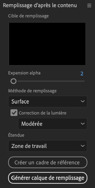 Capture d'écran montrant les différentes options du panneau 