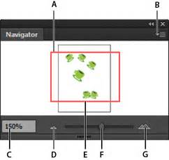 Panneau Navigation dans Adobe Illustrator avec ses différentes options