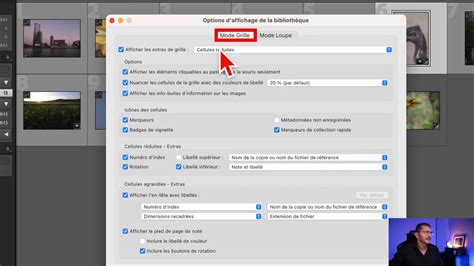 Icône d'aperçu intégré dans l'angle supérieur gauche d'une vignette d'image en mode Grille