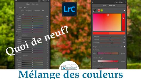 Outil Peinture dans Lightroom