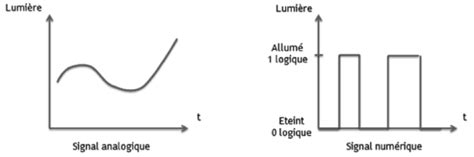 Infographie comparant les méthodes de retouche photo analogique et numérique