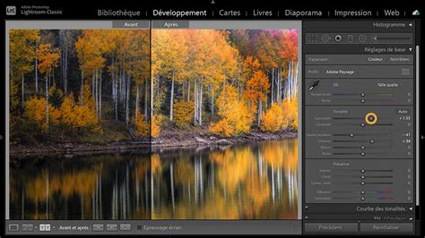 Illustration d'une interface Lightroom avec des outils de retouche de paysage