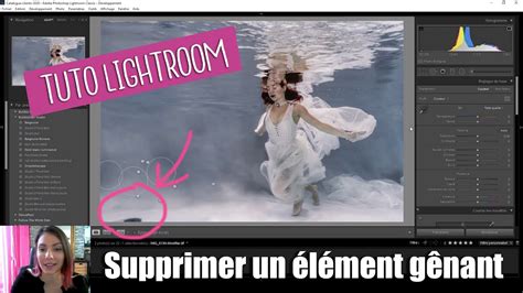 Exemple de l'outil Suppression des défauts dans Lightroom