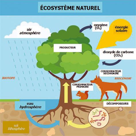 Représentation schématique de l'écosystème de la PSD2 avec les différents acteurs et flux de données