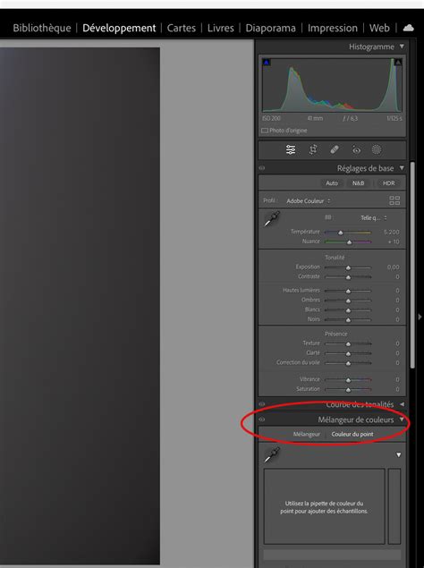 Exemples de curseurs de réglage dans le panneau Développement de Lightroom