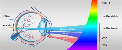 Illustration montrant l'effet de lumière rebondie sur un personnage
