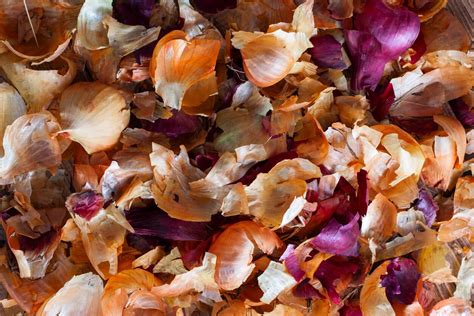 Illustration montrant l'utilisation de la fonction 