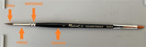 Capture d'écran montrant la définition d'un pinceau à partir d'une zone de texture sélectionnée dans Photoshop CS6