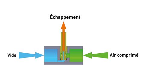 Schéma illustrant le fonctionnement de l'effet CC Repetile avec les options d'expansion (droite, gauche, bas, haut)